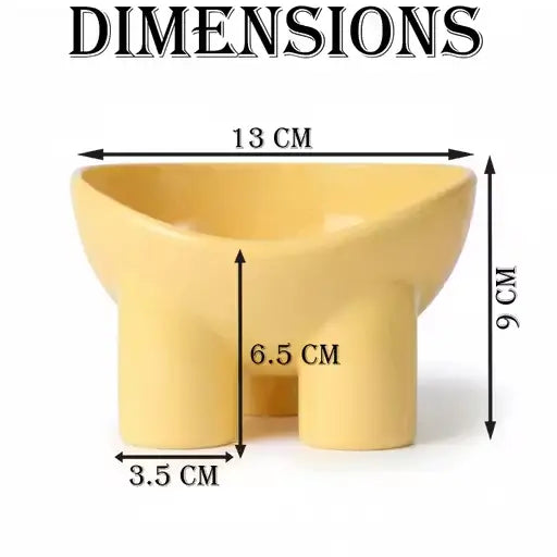 Pet Feeding Bowl