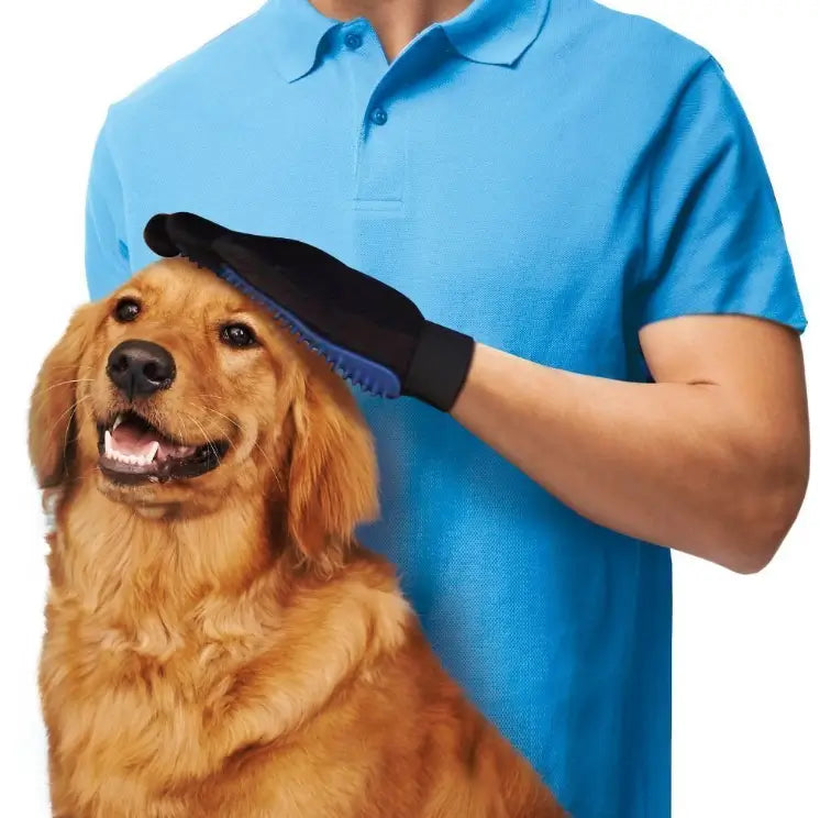 4 in 1 Pet Grooming Kit