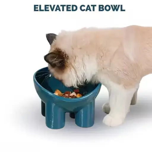 Pet Feeding Bowl