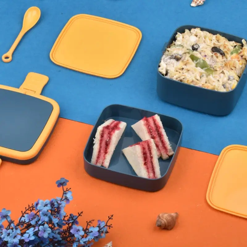 BLUE DOUBLE-LAYER PORTABLE LUNCH BOX
