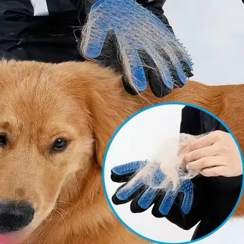 4 in 1 Pet Grooming Kit