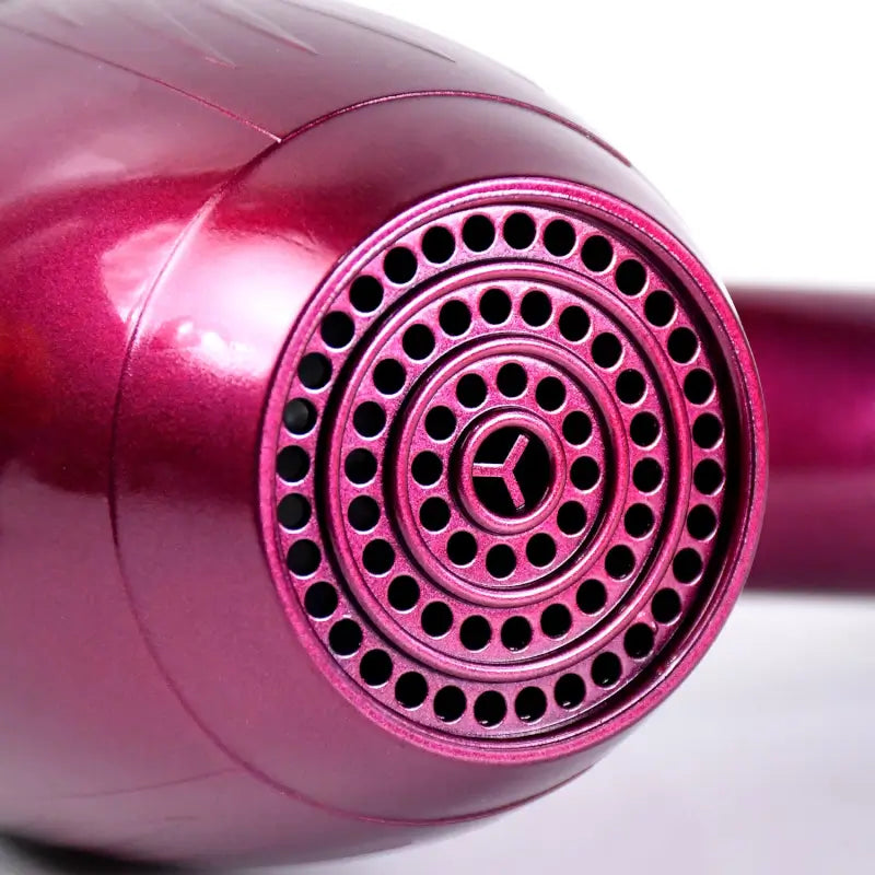 Professional High Power Hair Dryer for Men & Women 2 Speed Settings, Multi-Purpose Salon Use (220V)
