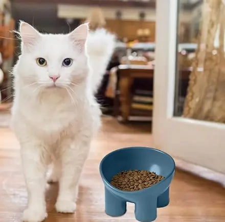 Pet Feeding Bowl