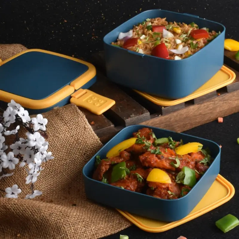 BLUE DOUBLE-LAYER PORTABLE LUNCH BOX